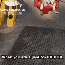 bitcoin darknet markets