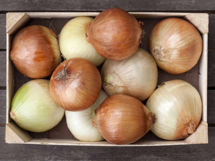 .onion link