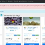 Darknet Market Bust