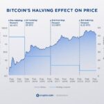 Bitcoin Cash Darknet Markets