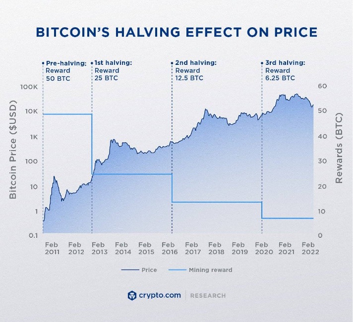 Bitcoin Cash Darknet Markets