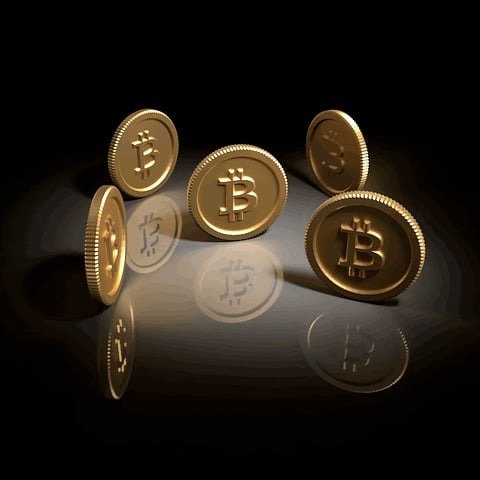 bitcoin cash darknet markets