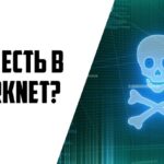 Darknet Market List 2024