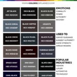 Black Market Website Review