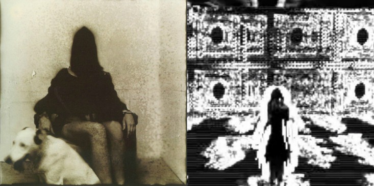 download dark web videos