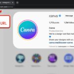 Cocorico Url
