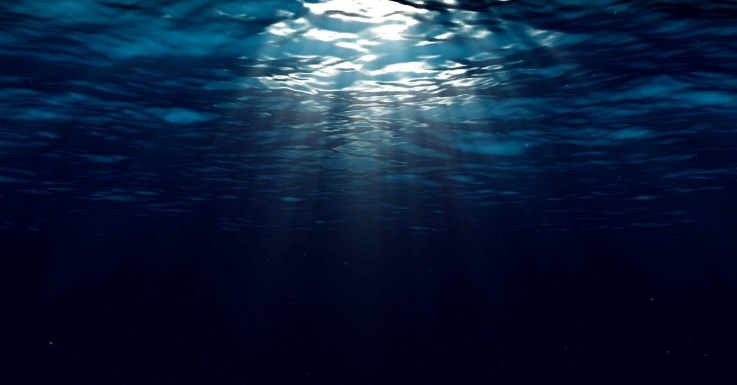 deep web software market