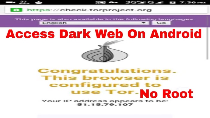 access dark web on iphone