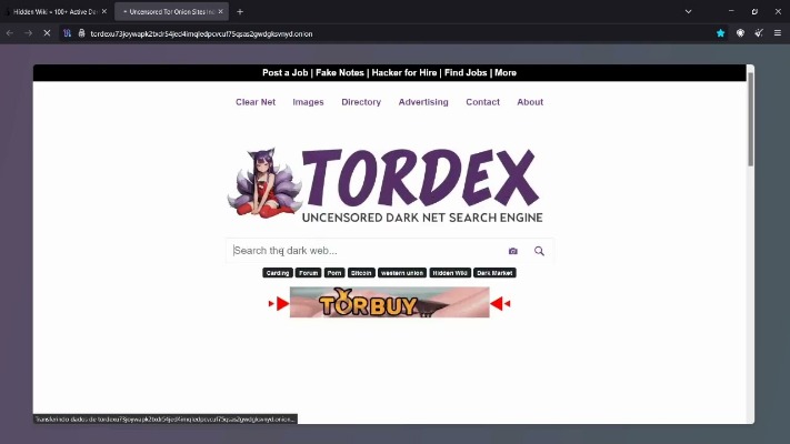 acess the dark web