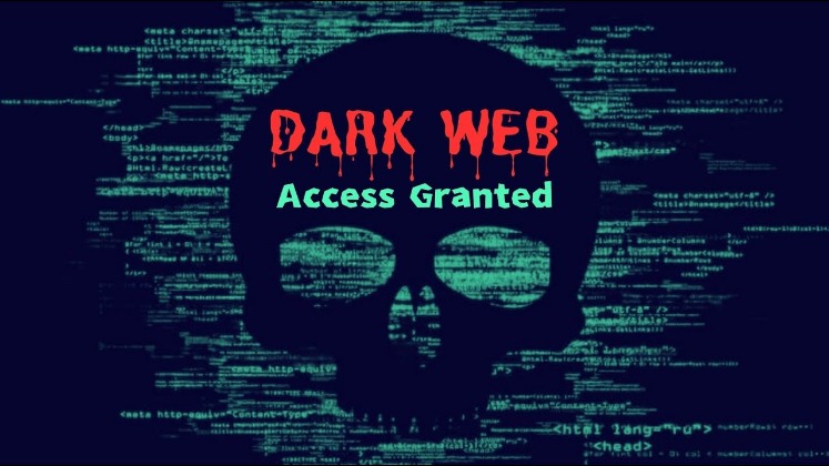 how do i access the dark web