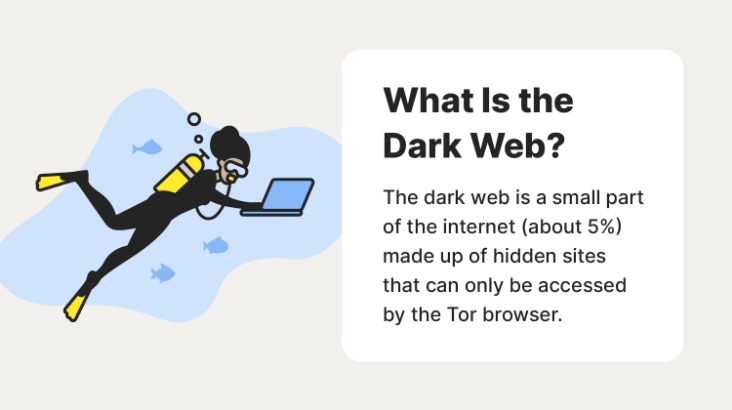 how do i access the dark web