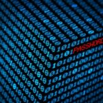 Darknet Market Updates 2025