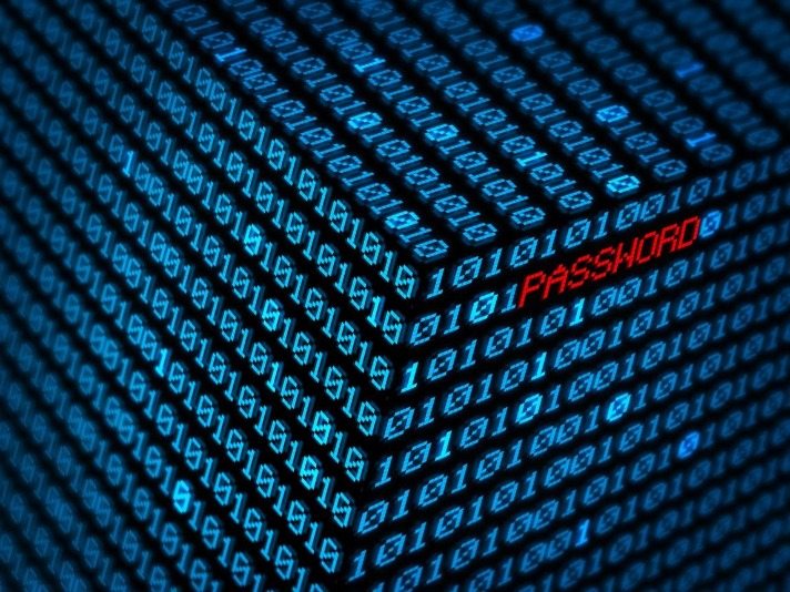 Darknet Market Updates 2025