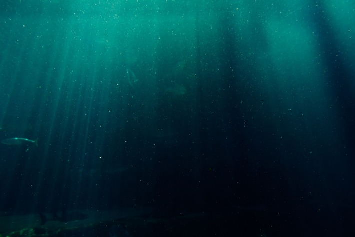 deep web links 2025