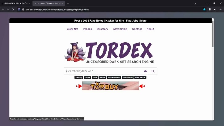 how to acess the dark web