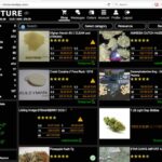 Darknet Market News