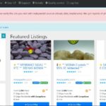 Darknet Market Alternatives
