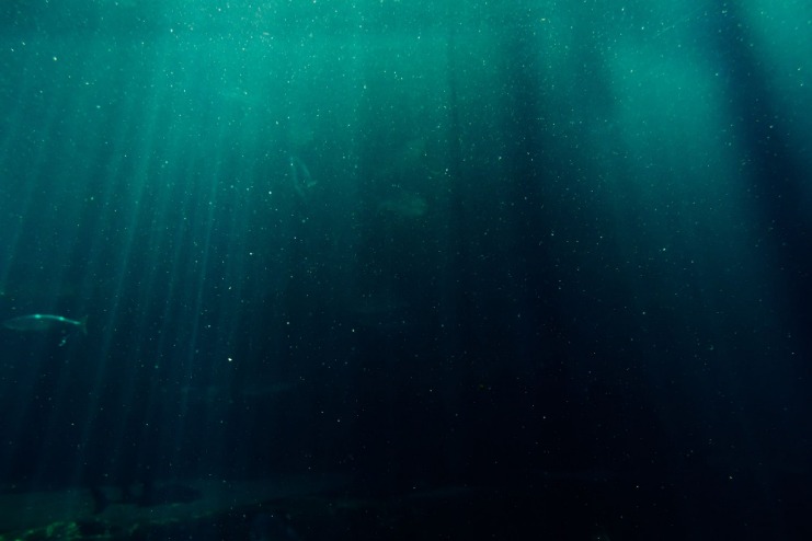 deep web updated links