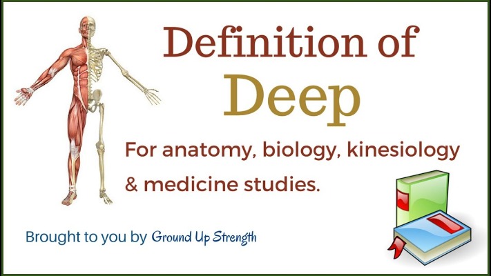 deep deep web links