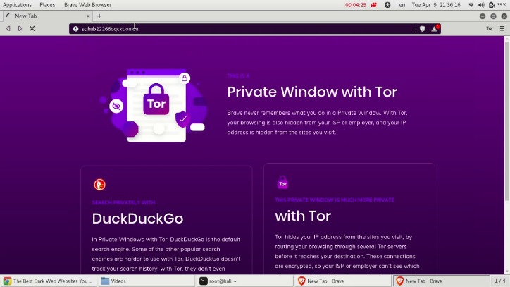 Darknet Access