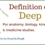 Deep Web Link