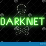 Darknet Markets Guide