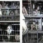 How To Browse The Dark Web