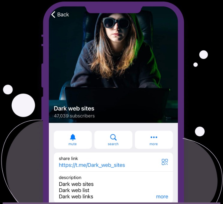 how to browse the dark web