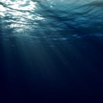 Deep Web Hitmen Url