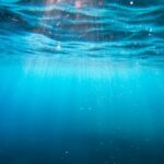 Deep Dot Web Links