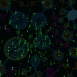 Darknet Markets Florida