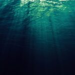 Deep Web Links