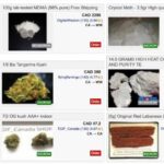 Deep Web Market Links Reddit
