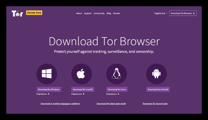 Browse Dark Web