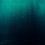 Deep Dot Web Replacement