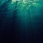Deep Sea Darknet Market