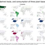 Darknet Dream Market Link