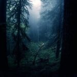 Dark Net Market Links 2023