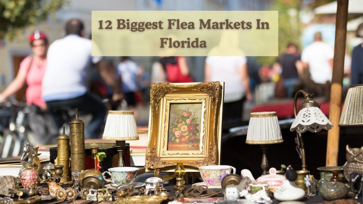 florida darknet markets