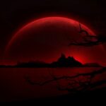Dark Web Markets 2025 Reddit