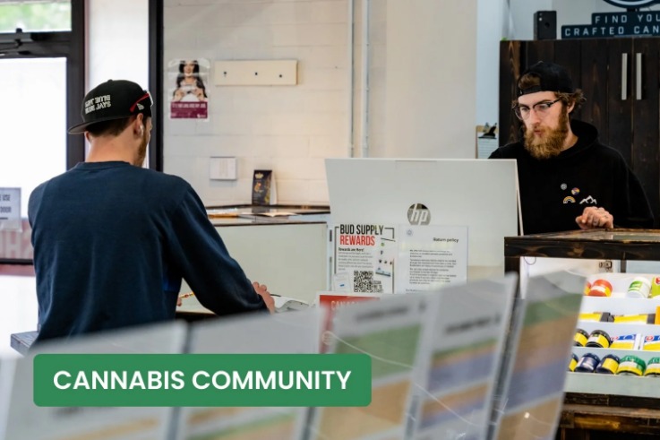 darknet cannabis markets