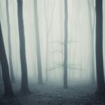 Dark Web Links 2023