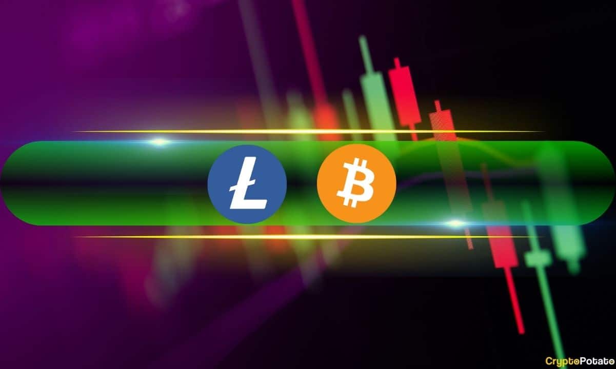darknet litecoin