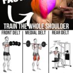 Dbol Steroid Pills
