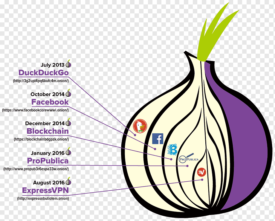 .onion dark web